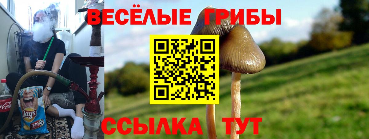 Азов  закладка  Вход с VPN  Галлюциногенные грибы Cubensis  Псилоцибиновые грибы прущие грибы 